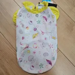 Item thumbnail for item f3cab3e2-7353-4cdc-9d0e-3cc2d4dd7ef9