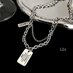 男女兼用✨ ヴィンテージ シルバープレート チェーン ネックレス ペンダント
