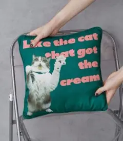 新品⭐Pechanko Catsクッション
