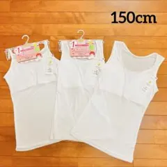 Item thumbnail for item 6448910b-0a87-4078-8e31-a3a997e264c8