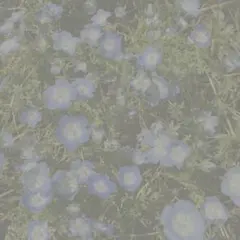 専用 ☆ あさまる様