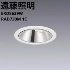 遠藤照明店舗向LEDZ ERS3387W 8灯（2016年製7、2015年製1） 遠藤照明店舗向LEDZ ERS3387W 8灯（2016年製7、2015年製1）