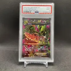 2025年最新】MジュカインEX srの人気アイテム - メルカリ