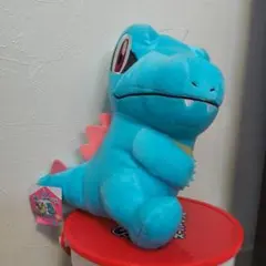 포켓몬 ワニノコ ぬいぐるみ