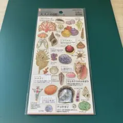 大人の図鑑 貝殻と珊瑚