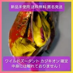 【C1】ワイルドズータント カジキオン 暗やみで光る！