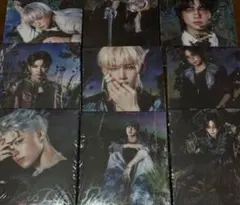 &TEAM Backtolife ROAR 未開封 アルバム ソロジャケット