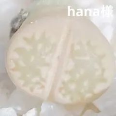 hana様 リクエスト 5点 まとめ商品