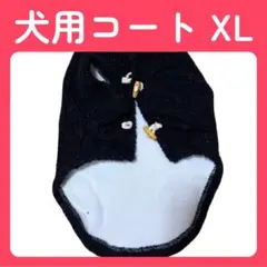 Item thumbnail for item 50bc5eb2-8e6f-458c-aa0e-c96f54b4e36c