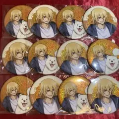 ドクスト Dr.STONE mixx garden 缶バッジ 七海龍水 - メルカリ