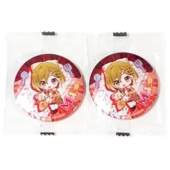 初音ミク 雪ミク 2024 あそーと C賞 缶バッジ MEIKO ２個