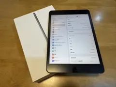 iPad mini 5 256GB SIMフリー　スペースブラック