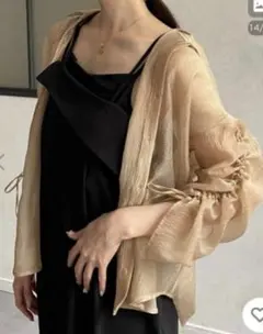 【Thevon.】ラメワッシャー袖シャーリングシアーシャツのサムネイル