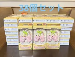 ルバニア ショコラうさぎ、フェネックの小さい赤ちゃん さくらんぼ　38個