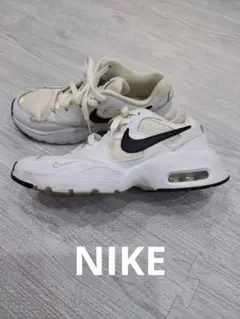 Item thumbnail for item 48ceef09-3d80-4f84-ad40-1c94764373fe