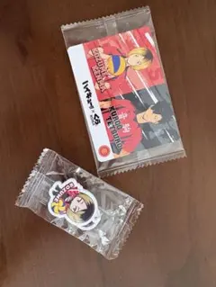 ハイキュー!! くら寿司 孤爪研磨 黒尾鉄朗のカードとめじるしチャーム