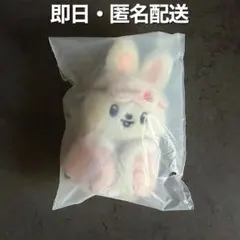 SKZOO PLUSH 10CM 本国ペンミ Leebit リービット リノ
