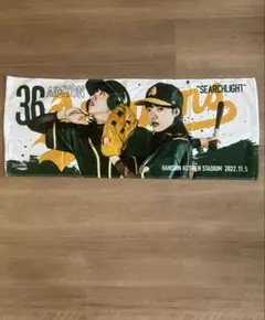 あいみょん ミュージシャン