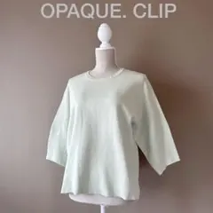 【オペークドットクリップ】40　L　パステルグリーン　五分袖カットソー　トップス