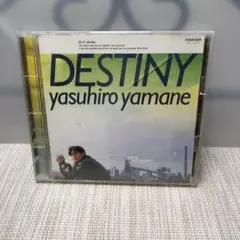 DESTINY yasuhiro yamane CD 山根康広 邦楽