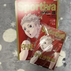 sportiva×ハイキュー!!ショーセツバンⅧ
