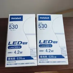 未使用　HotaluX LED電球 2個セット LDA4D-G-キキ　2個セット