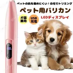 Item thumbnail for item 909fe592-81b9-4ca8-b1f5-91bc1079ea91