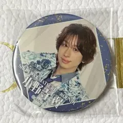 MATSURI 小野寺翼 当選パネル 缶バッジ セット 2026年最新】小野寺翼の人気アイテム - メルカリ