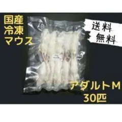 送料無料 冷凍マウスアダルトM30匹 - メルカリ