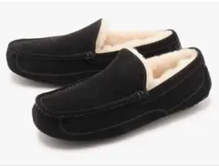 Item thumbnail for item 2e5d9f19-9ba4-426b-bc1b-81be439df97c