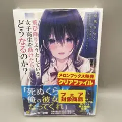 Item thumbnail for item 685158c8-f190-4529-83c2-a0364fe81968