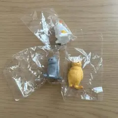虚無猫