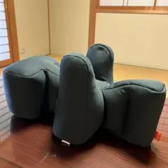 リラクッシッション　トイプードルのサムネイル