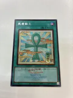 遊戯王 死者蘇生 絵違い シークレット WCS 2026 - メルカリ