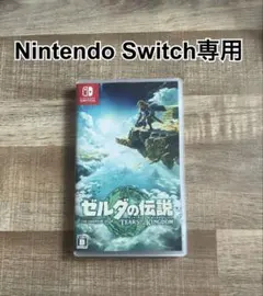 ゼルダの伝説 ティアーズ オブ ザ キングダム Switch