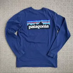 patagonia パタゴニア レスポンシビリティ