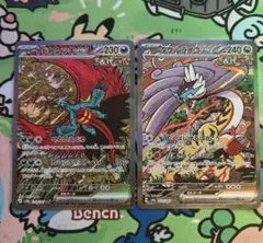 2枚SARセット「トドロクツキex SARタケルライコウ ex SAR」