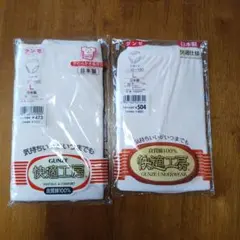 GUNZE 快適工房 下着 Lサイズ 2枚セット