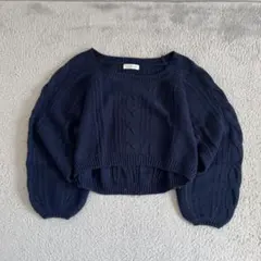 ニット トップス クロップド丈 フリーサイズ 韓国 Y2K 平成ギャル 平成