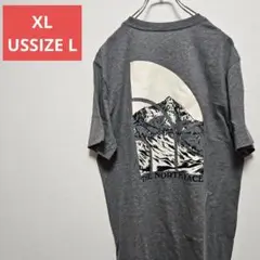 XL アメリカ ノースフェイス Tシャツ ロゴ ハーフドーム 山 グレー