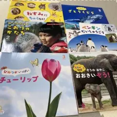 サンチャイルド　ビッグサイエンス　6冊セット