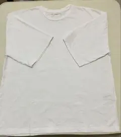 ZARA メンズ　白Tシャツのサムネイル
