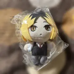 ハイキュー　孤爪研磨 ぬいぐるみ ラウワン