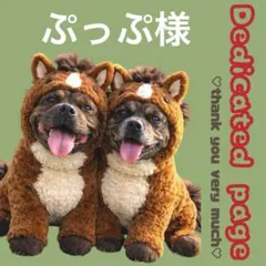 ぷっぷ様専用