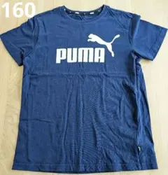 160　プーマ　 Tシャツ　ネイビー　紺色
