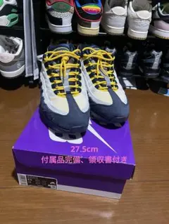 Eric Koston × Nike SB Air Max 95