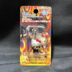 【新品未開封】西川貴教　T.M.Revolutionコラボキティちゃん　チャーム