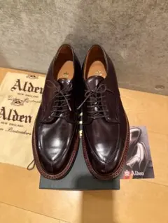2026年最新】alden Vチップ コードバンの人気アイテム - メルカリ