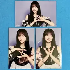 【匿名配送】 菅原咲月 Same numbers ミニ生写真 コンプ 乃木坂