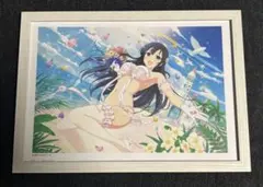 切抜 額装 A4サイズ シノビマスター 閃乱カグラ NEW LINK 両姫